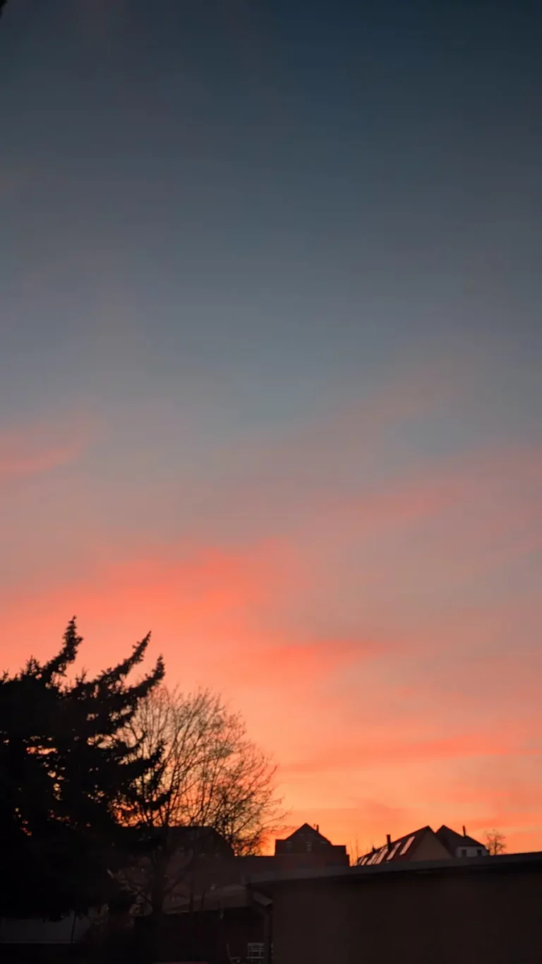 2.Blog – The Orange Peel